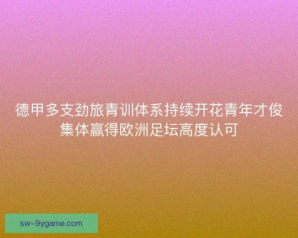 德甲多支劲旅青训体系持续开花青年才俊集体赢得欧洲足坛高度认可